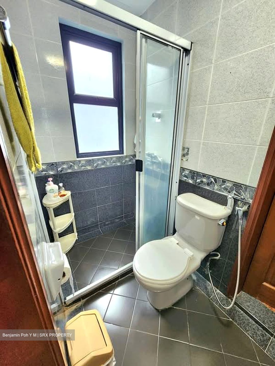 Chiltern Park (D19), Condominium #579753061